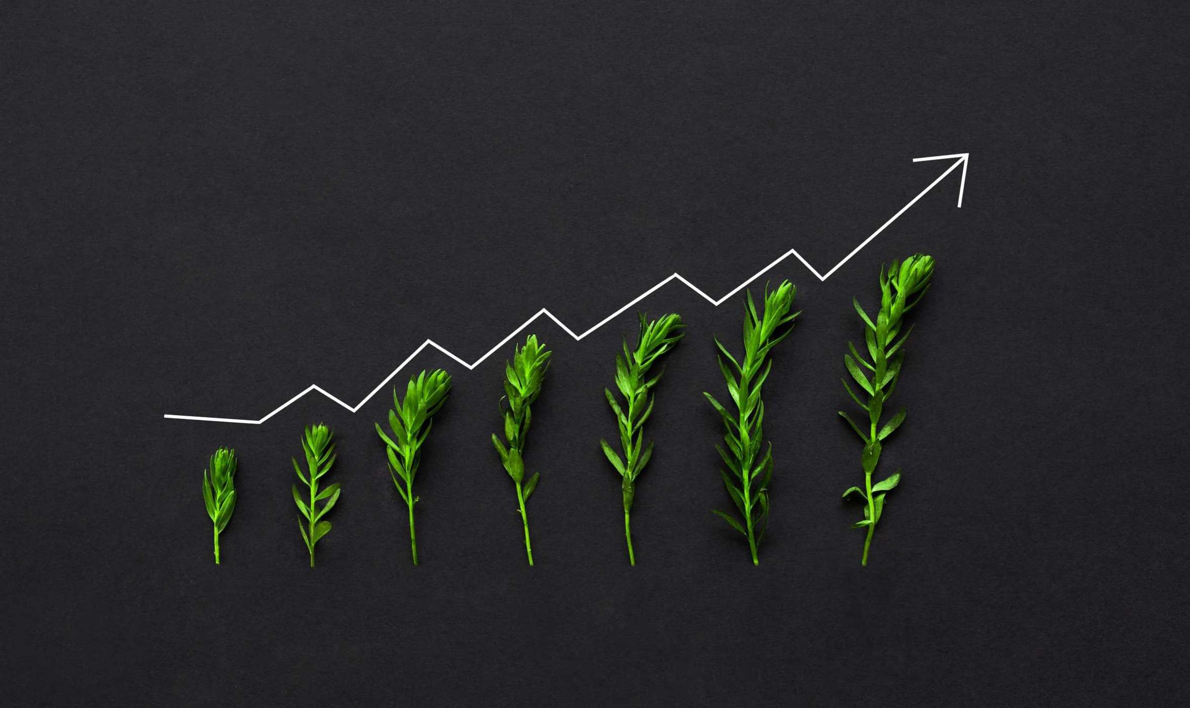 Visual concept of sustainable church growth showing plants growing upward along a line grph on a dark background.