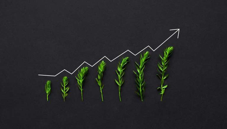 Visual concept of sustainable church growth showing plants growing upward along a line grph on a dark background.